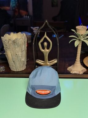 Patagonia Light Blue & Black Logo Camp Cap